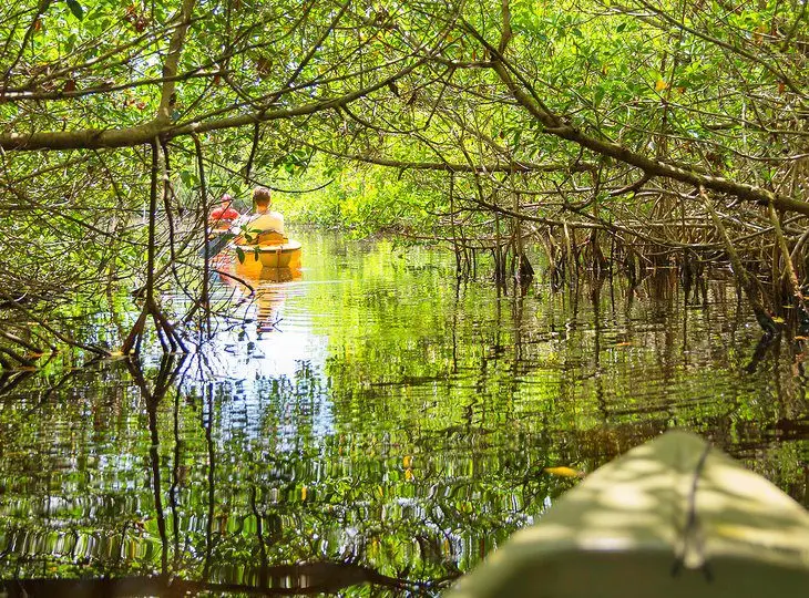 19 Top-Rated Things to Do in Florida