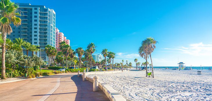 19 Top-Rated Things to Do in Florida