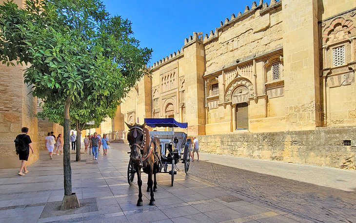 19 Top-Rated Tourist Attractions in Córdoba