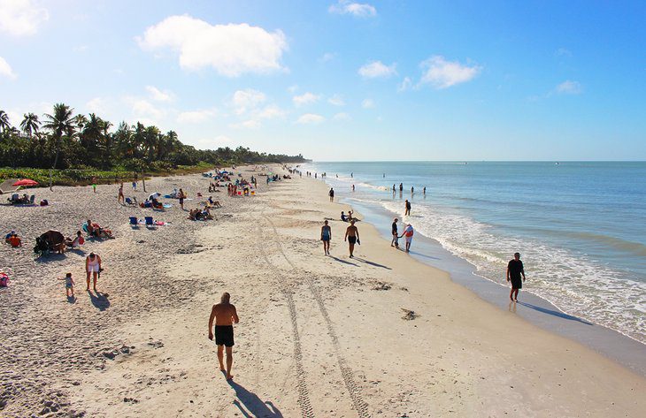 19 Top-Rated Tourist Attractions in Florida