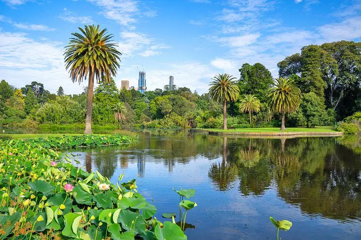 19 Top-Rated Tourist Attractions in Melbourne