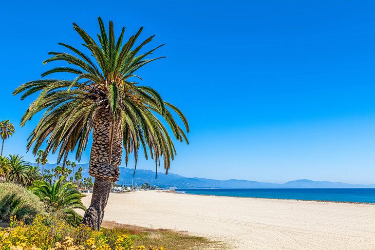 20 Best Beaches in Southern California