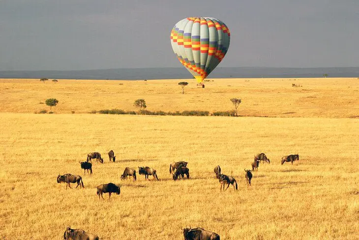 20 Best Hot Air Balloon Rides in the World