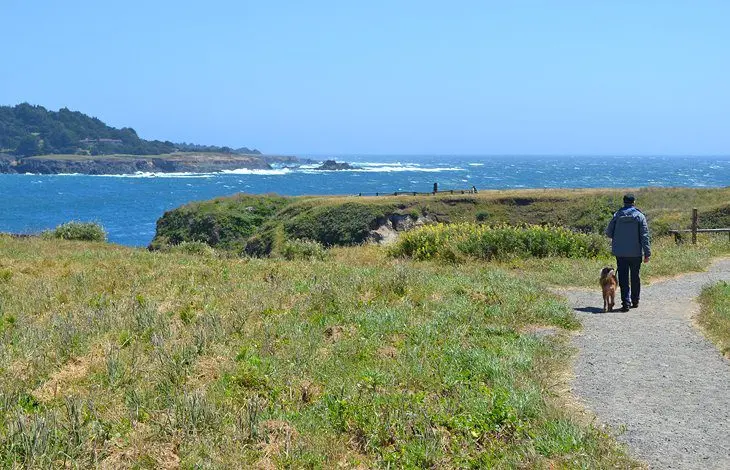 20 Best State Parks in California