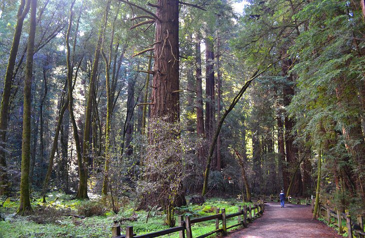 20 Best State Parks in California