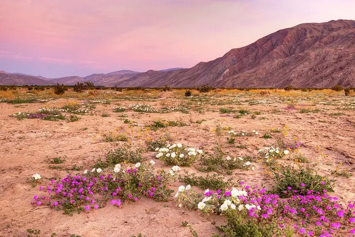 20 Best State Parks in California