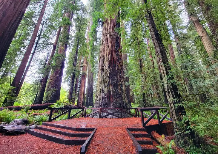 20 Best State Parks in California