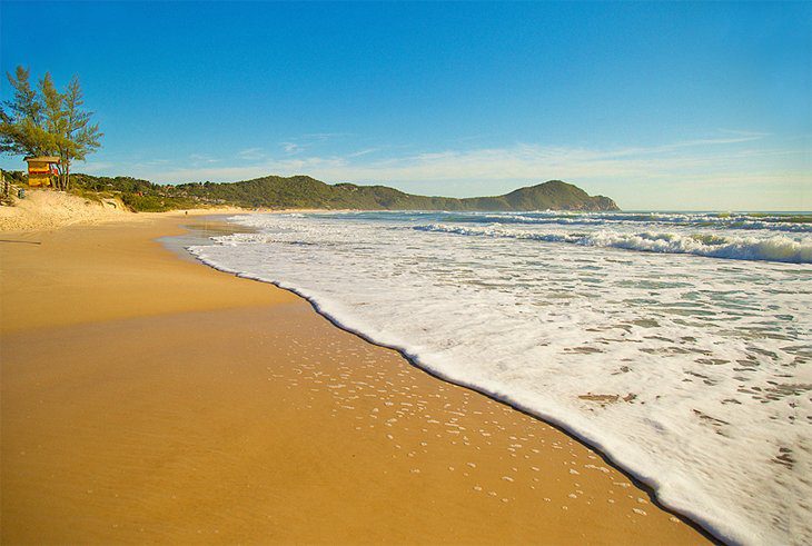 20 Top-Rated Beaches in Brazil