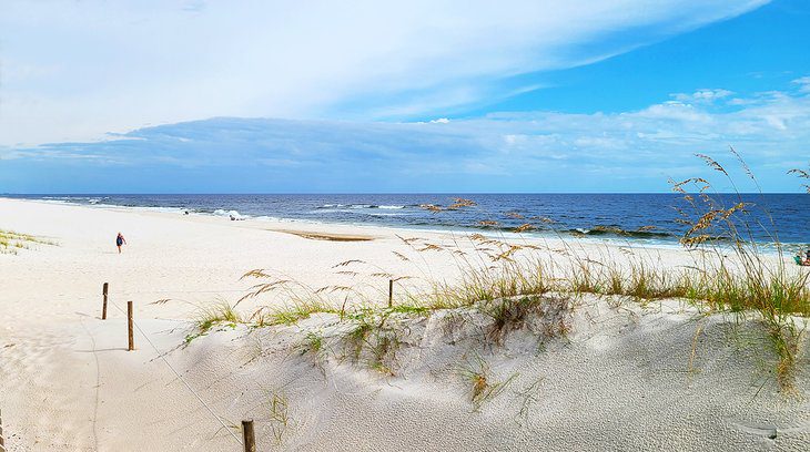 20 Top-Rated Things to Do in Pensacola, FL