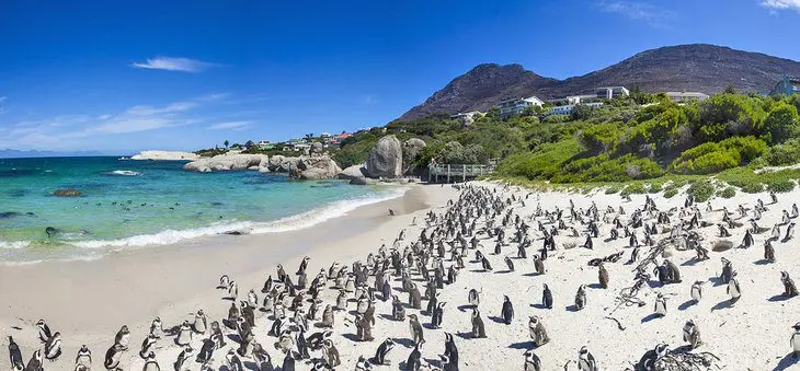 20 Top-Rated Tourist Attractions in South Africa