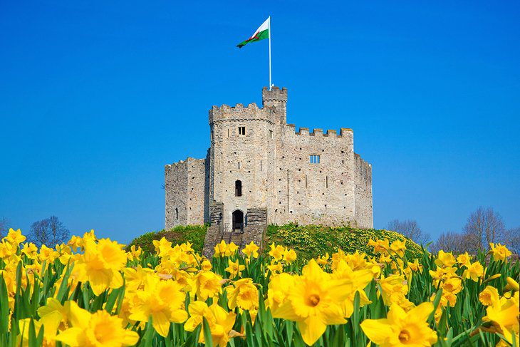 20 Top Tourist Attractions & Places to Visit in Cardiff