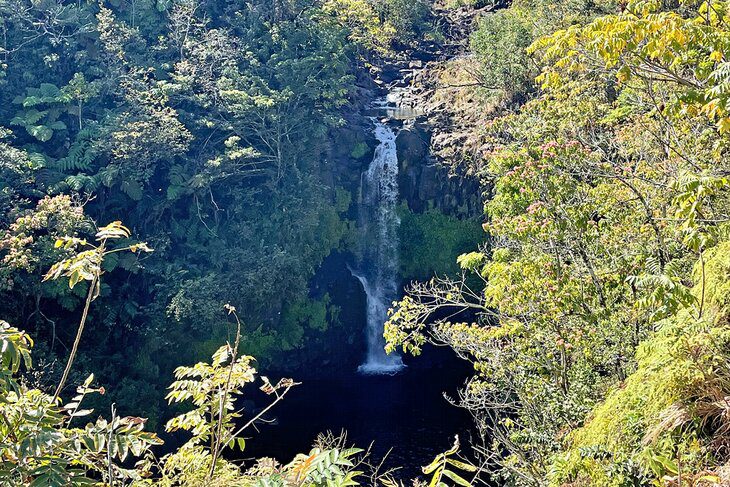 21 Top Attractions on the Big Island of Hawaii