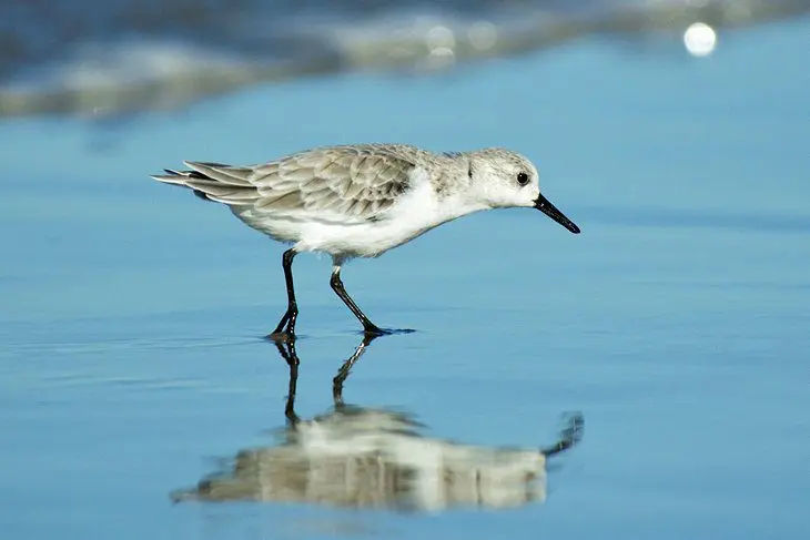21 Top-Rated Tourist Attractions in Corpus Christi, TX