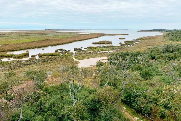 21 Top-Rated Tourist Attractions in Corpus Christi, TX