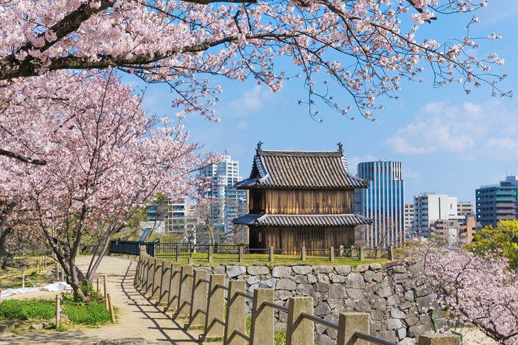 21 Top-Rated Tourist Attractions in Japan