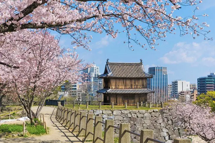 21 Top-Rated Tourist Attractions in Japan