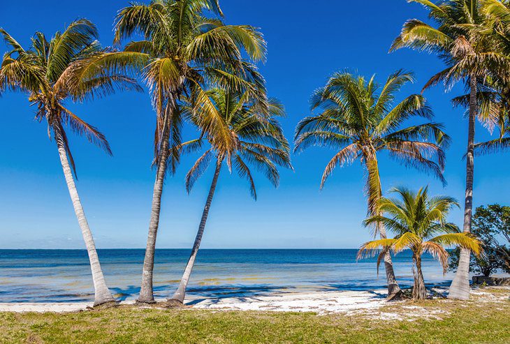 22 Top-Rated Islands in Florida