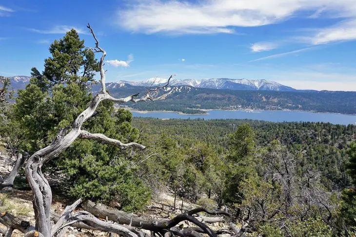 22 Top-Rated Things to Do in Big Bear, CA