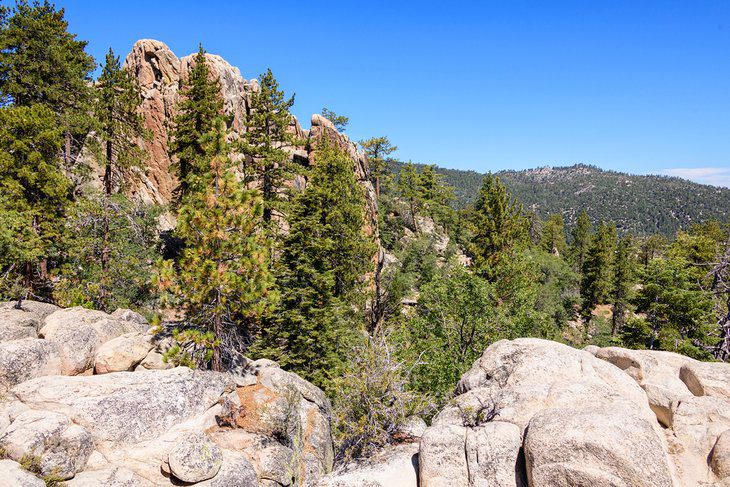 22 Top-Rated Things to Do in Big Bear, CA