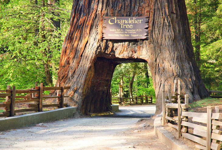 22 Top-Rated Things to Do in California