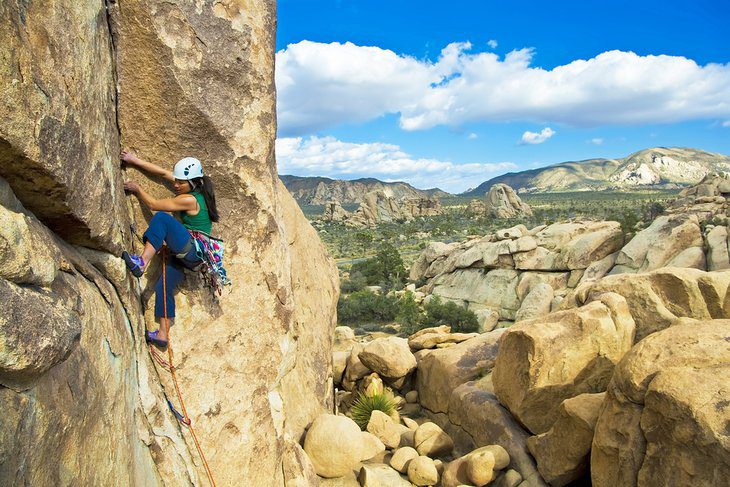 22 Top-Rated Things to Do in California