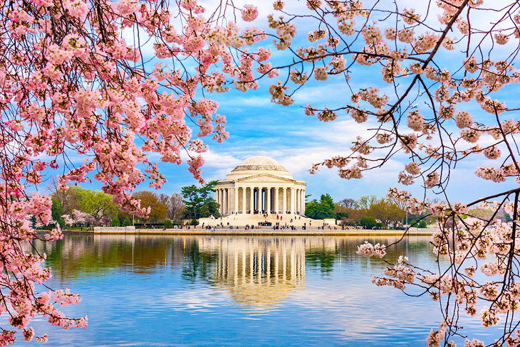 22 Top-Rated Tourist Attractions in Washington, D.C.