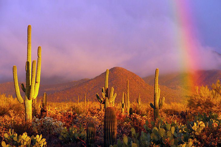 23 Top-Rated Attractions & Places to Visit in Arizona