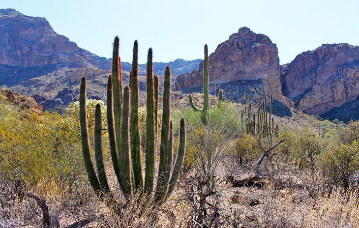 23 Top-Rated Attractions & Places to Visit in Arizona