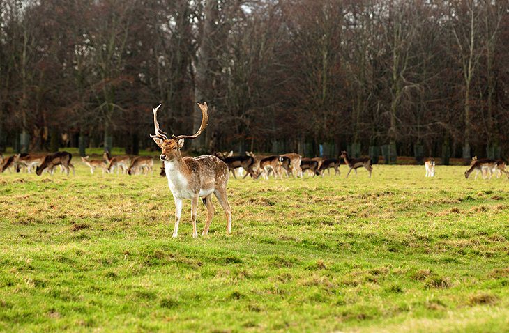 23 Top-Rated Tourist Attractions in Dublin