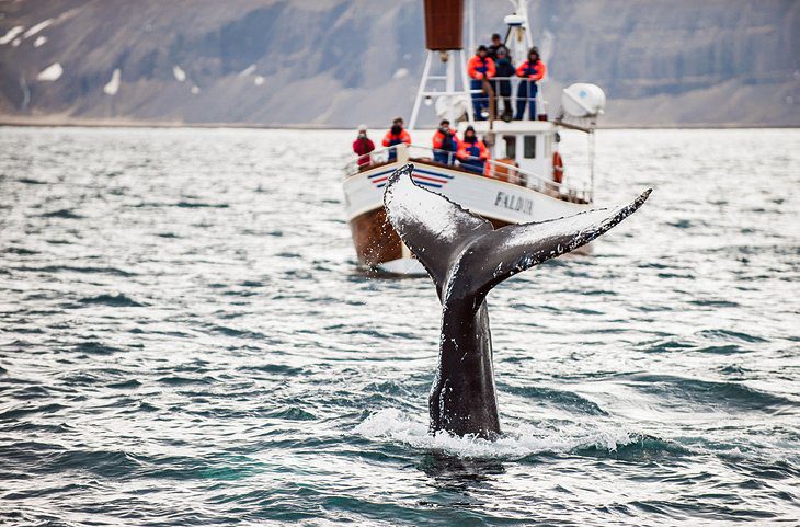 23 Top-Rated Tourist Attractions in Iceland