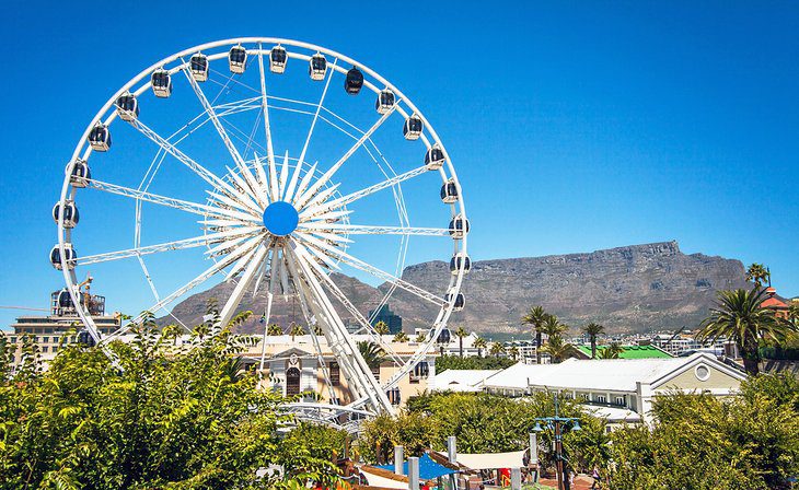 24 Top Attractions & Places to Visit in Cape Town