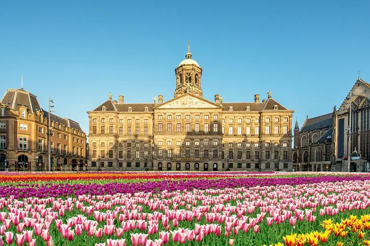 24 Top-Rated Tourist Attractions in Amsterdam