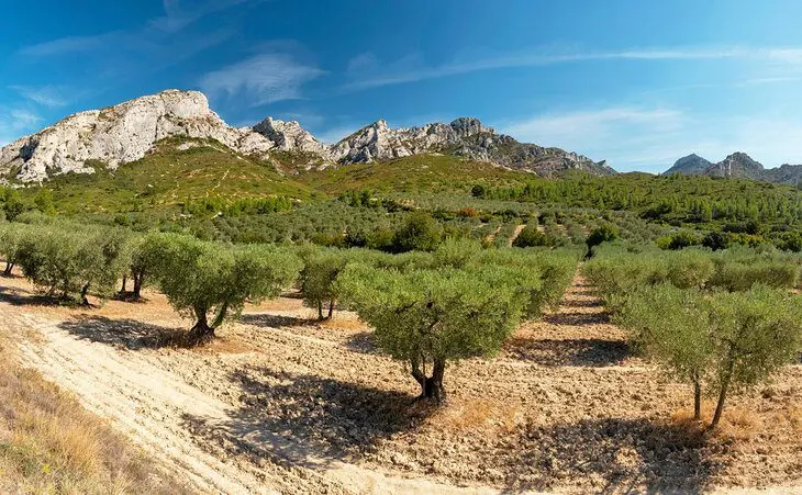 25 Top-Rated Attractions & Scenic Drives in Provence