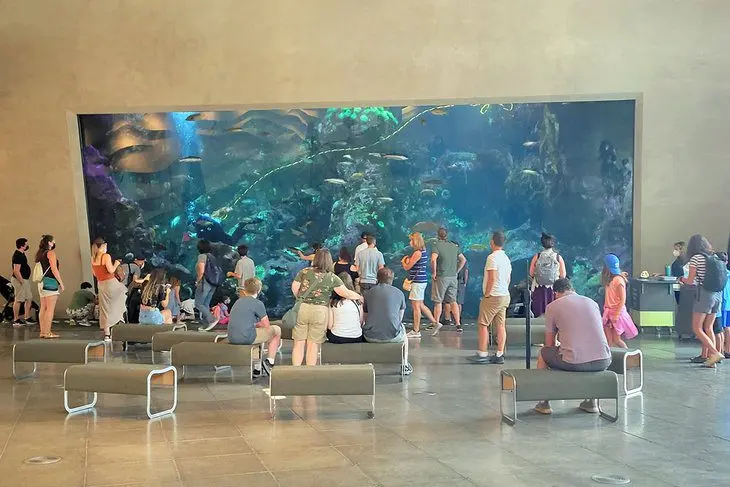 25 Top-Rated Tourist Attractions in Seattle, WA
