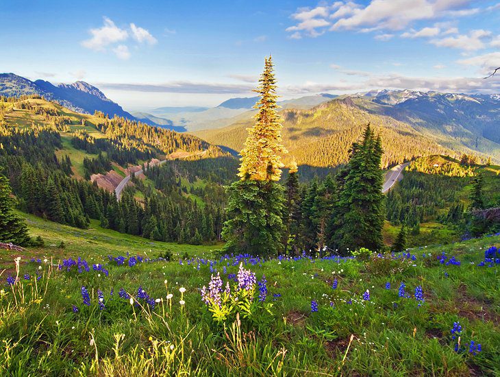 25 Top-Rated Tourist Attractions in Washington State