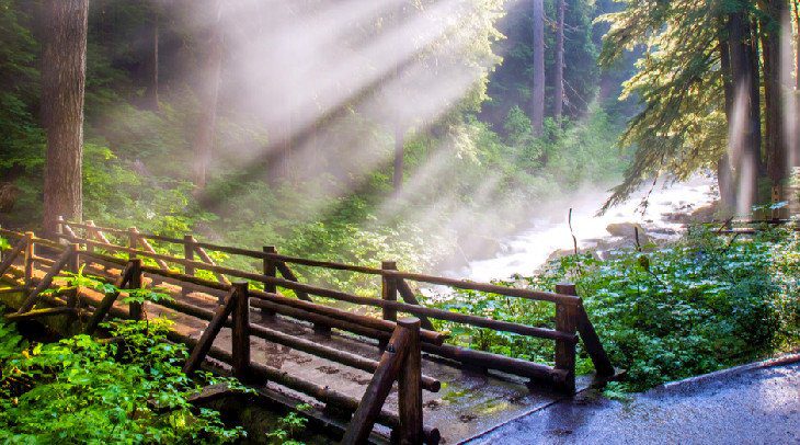 25 Top-Rated Tourist Attractions in Washington State