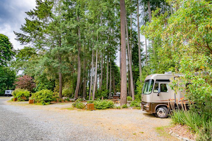 3 Best Campgrounds on Salt Spring Island, BC