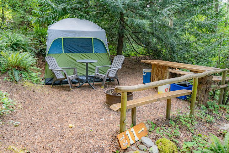 3 Best Campgrounds on Salt Spring Island, BC