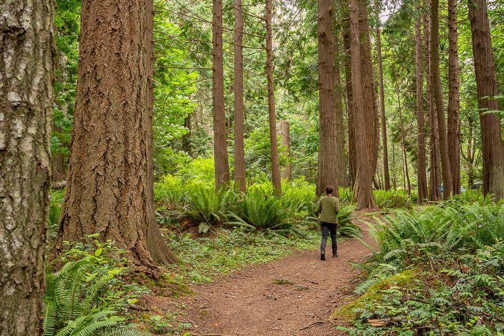 3 Best Campgrounds on Salt Spring Island, BC