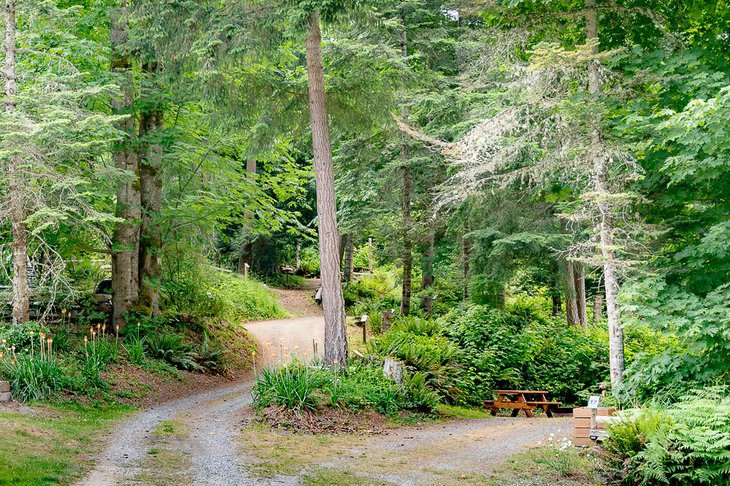 3 Best Campgrounds on Salt Spring Island, BC