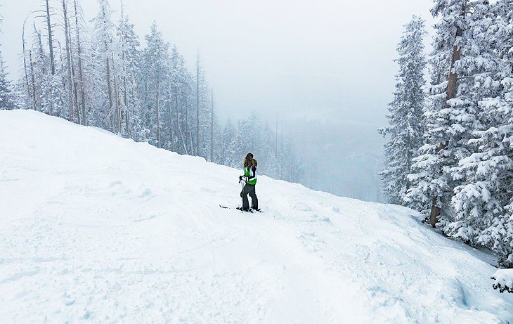 3 Best Ski Resorts in Arizona, 2023/24