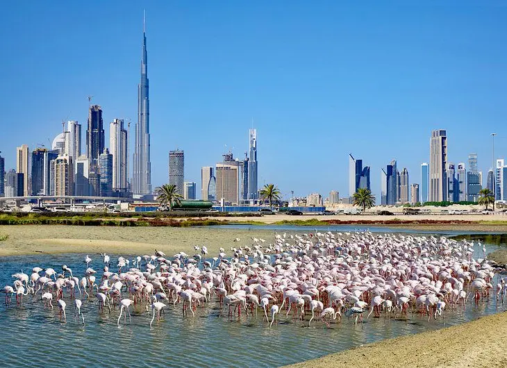 30 Top-Rated Tourist Attractions in Dubai