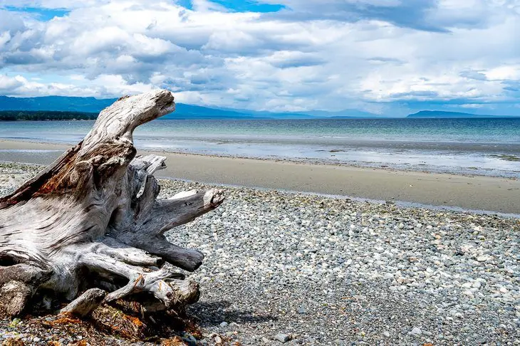 4 Best Beaches in Parksville, BC