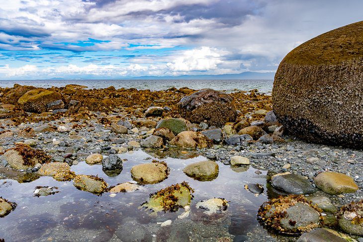 4 Best Beaches in Parksville, BC