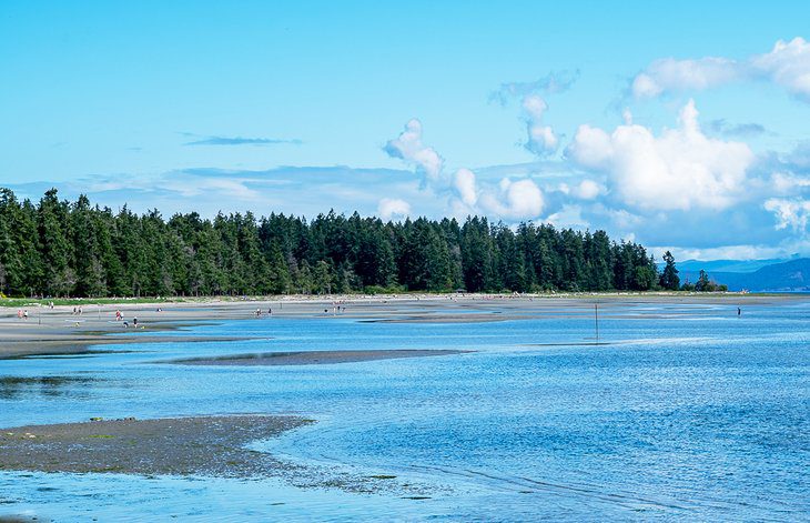 4 Best Beaches in Parksville, BC