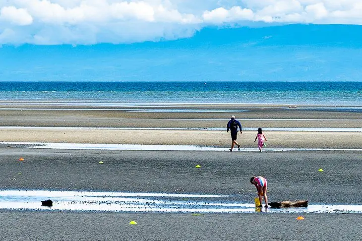 4 Best Beaches in Parksville, BC