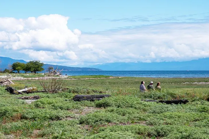 4 Best Beaches in Parksville, BC