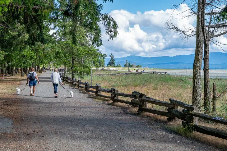 4 Best Beaches in Parksville, BC