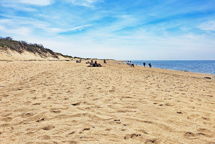 4 Best Beaches in Provincetown, MA