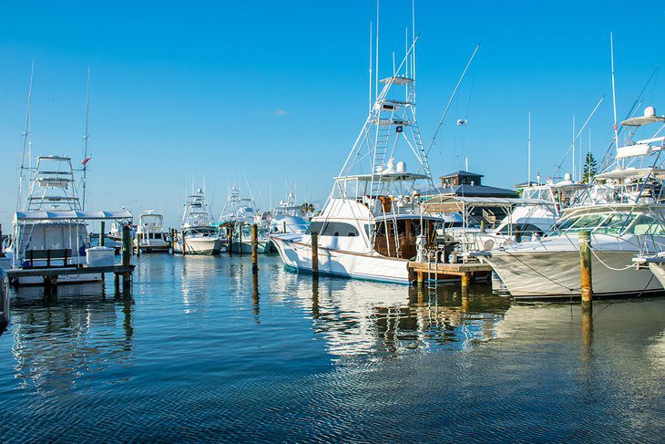 4 Top Places for Deep Sea Fishing in Texas